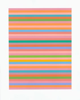 Bridget Riley - Rose Rose