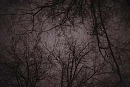 Wolfgang Tillmanns - English Garden