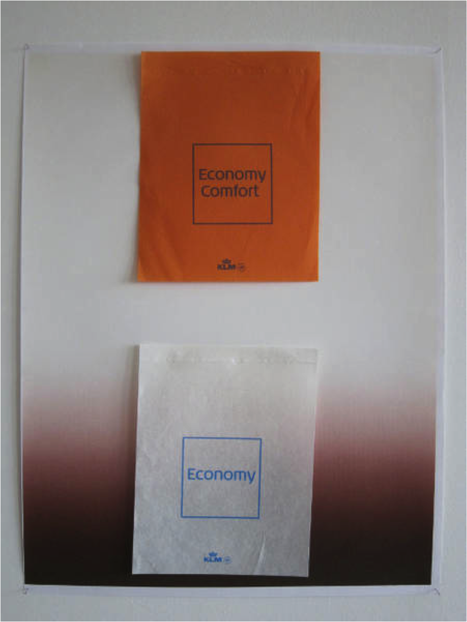 Gabriel Kuri, Economy Comfort (vertical), 2010