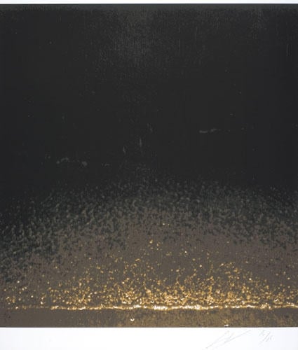 Luc Tuymans, Shore, 2005