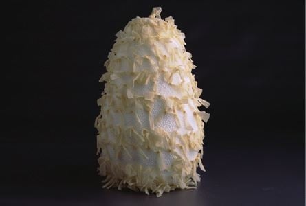 Ernesto Neto, Cabeluda, 2003