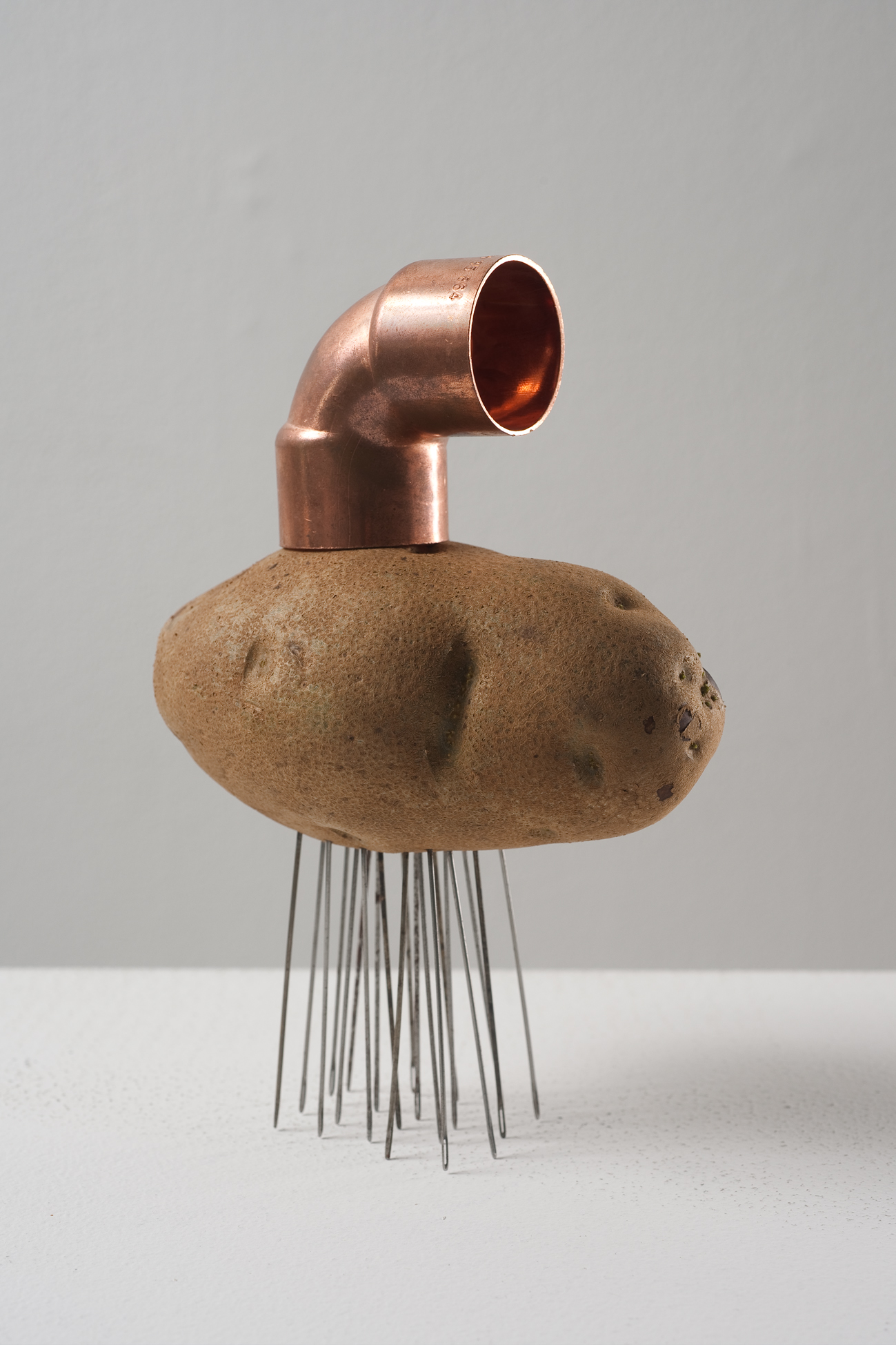 Amalia Pica - Instructions to make Catachresis #13 (elbow of the pipe, eye of the potato, eye of the needle), 2012