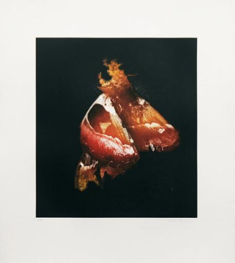 Mat Collishaw, Insecticide Photogravure, 2009.