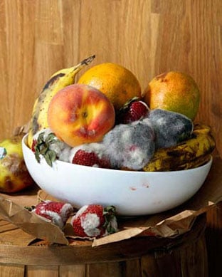 Roe Ethridge, Old Fruit, 2010