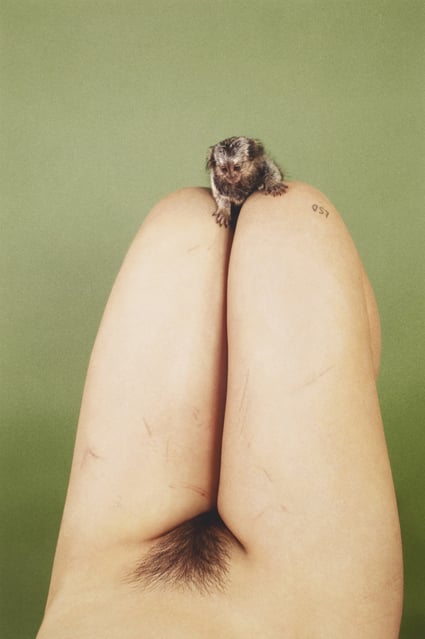 Ryan McGinley - Marmoset (LSD), 2012.