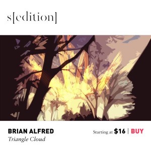 Brian Alfred, Triangle Cloud, 2012. 