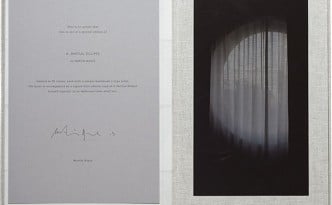 Martin Boyce, A Partial Eclipse (Special Edition), 2013.