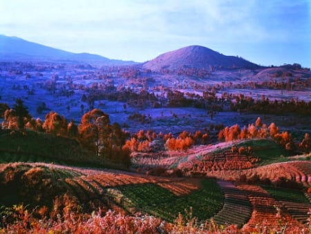 Richard Mosse, You are Wherever Your Thoughts Are, 2013.
