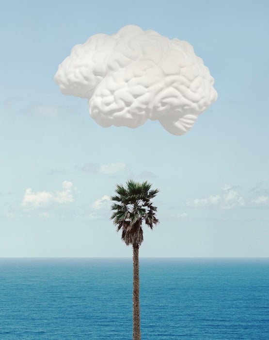 John Baldessari, 'Brain/Cloud (With Seascape and Palm Tree)', 2009