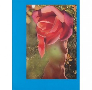 Linder, Untitled 2012, 2013