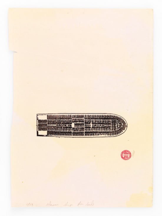 Paulo Nazareth, Slave Ships For Sale, 2014