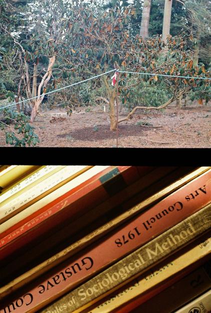 Luke Fowler, Rhododendron / bookshelf (Edinburgh and Glasgow, 2012), 2014