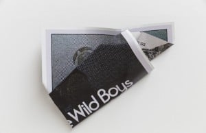 William S. Burroughs (Wild Boys) , 2015