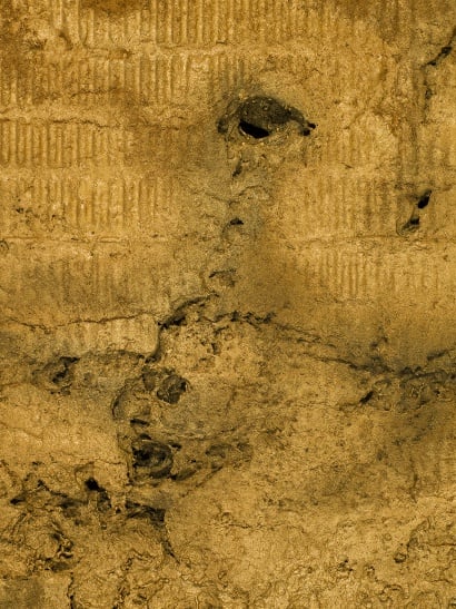 Zhang Ding, Sound Absorber, 2015