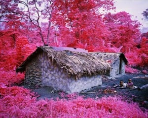 Richard Mosse, Come Out (1966) XXXXV, 2015