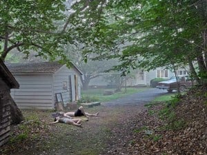 Gregory Crewdson, The Backyard, 2013-2016