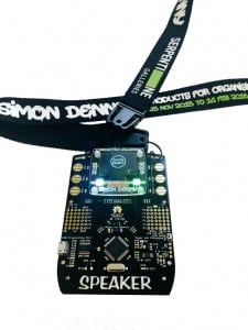 Simon Denny, Products for Organising Serpentine Parallax Lanyard Edition, 2015