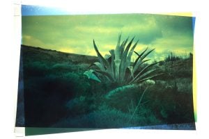 Basim Magdy - The Romantic Transformation of Loneliness into a Trade, 2016 Basim Magdy - The Romantic Transformation of Loneliness into a Trade, 2016