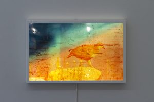 Basim Magdy - The Romantic Transformation of Loneliness into a Trade, 2016 Basim Magdy - The Romantic Transformation of Loneliness into a Trade, 2016