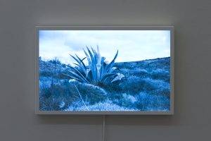 Basim Magdy - The Romantic Transformation of Loneliness into a Trade, 2016 Basim Magdy - The Romantic Transformation of Loneliness into a Trade, 2016