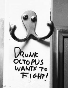 Cosima von Bonin, Drunk Octopus Wants to Fight, 2016