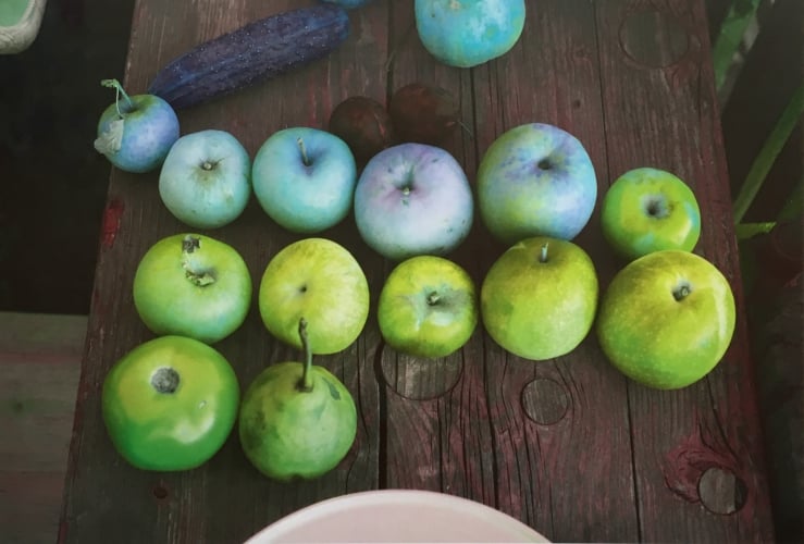 Wolfgang Tillmans - Camden Still Life (magenta cyan plate exchange), 2017