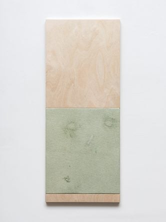 Fredrik Værslev - Untitled (Monochrome wall-flushing canopy for Bonner Kunstverein) - 2017
