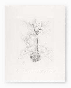 Giuseppe Penone - Luce e Ombra - 2018