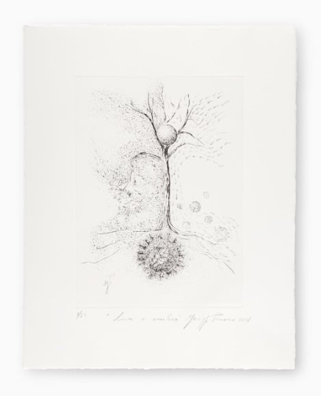 Giuseppe Penone - Luce e Ombra - 2018