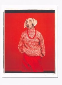 William Wegman - Casual - 2018