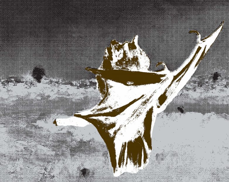 Monster Chetwynd – Bat Opera (Heavy Metal) – 2019