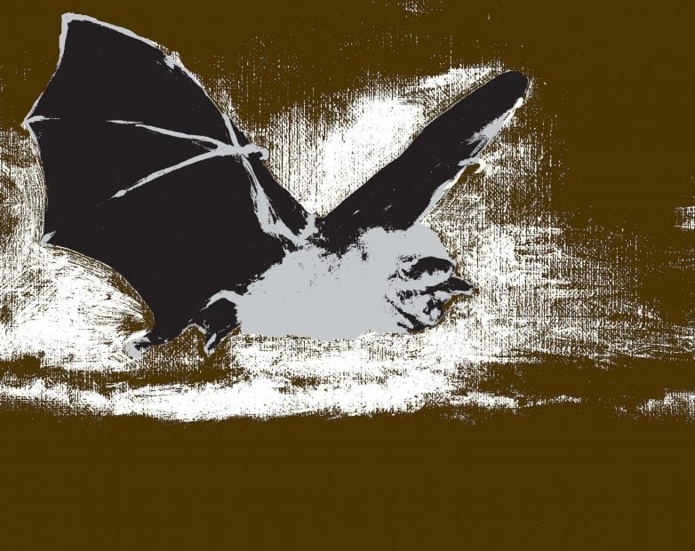 Monster Chetwynd – Bat Opera (Heavy Metal) – 2019