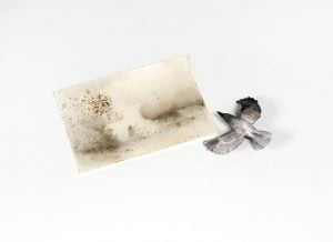 Cai Guo-Qiang - Murmuration Box - 2019