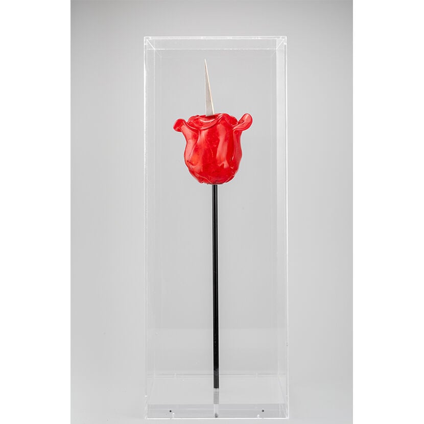 Renate Bertlmann - Discordo Ergo Sum, Knife Rose - 2019