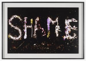 Josephine Pryde - Freshly Cut Grass, May Blossom, Stinging Nettles, Bluebells and Lady's Bedstraw, Picked in the Spring and Exposed in the Darkroom, 2019