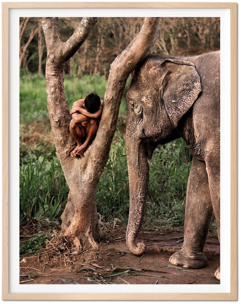Steve McCurry - Art Edition 1 - Chiang Mai, Thailand, 2010 - 2019
