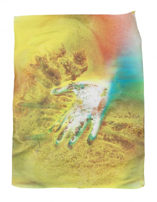 Katharina Grosse - Untitled - 2019