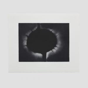 Anish Kapoor - Omo - 2019