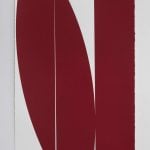 Johnny Abrahams - Untitled (Red) - 2019