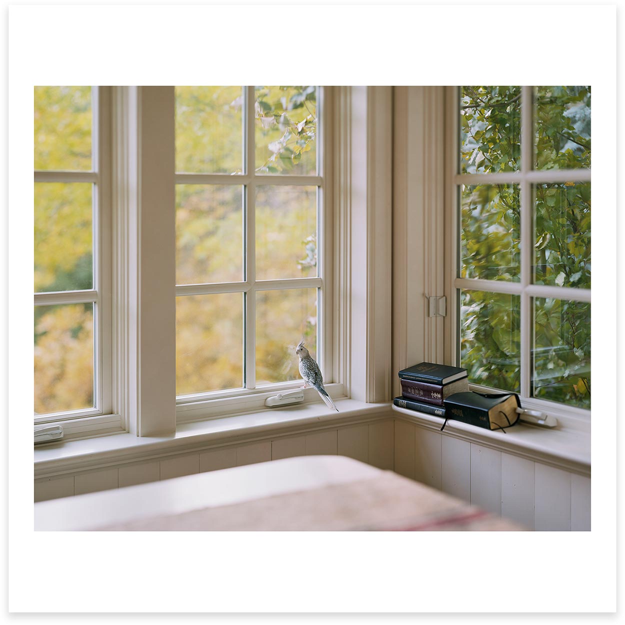Alec Soth - Cammy’s View. Salt Lake City - 2018