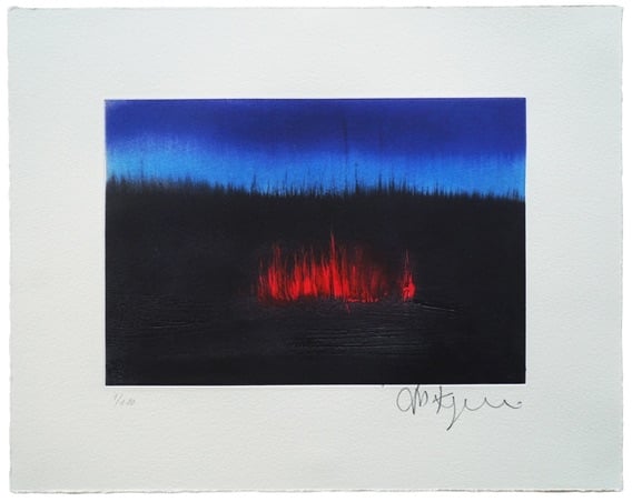 Anish Kapoor - Scorched Earth