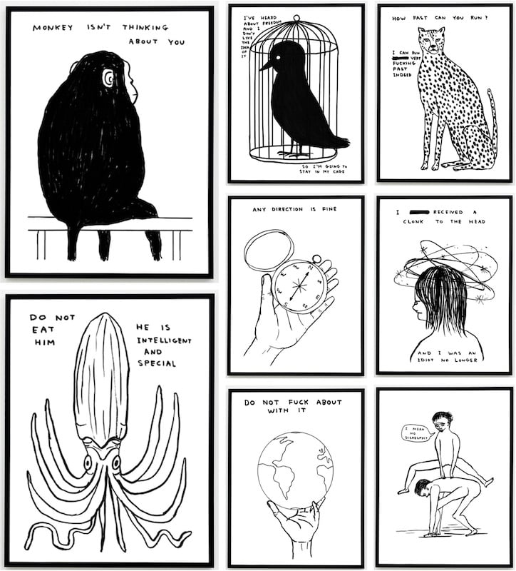David Shrigley - "Human Behaviour" and "Animals & Existentialism" - 2022
