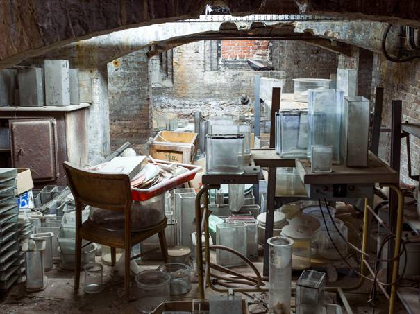 Thomas Struth - Storage, Charité, Berlin - 2015
