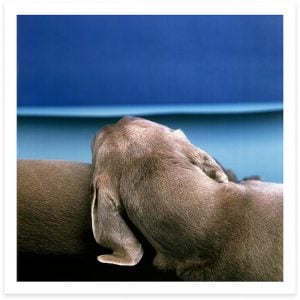 William Wegman - Shore, 1999 - 2021
