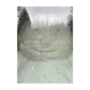 Peter Fischli - Snowman von Peter Fischli und David Weiss - 2022