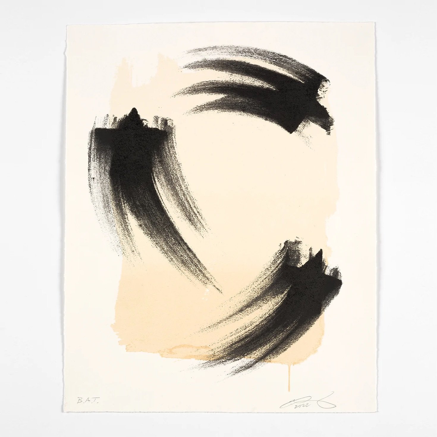 Gary Simmons - Black Ark Stars (Process Black) - 2022