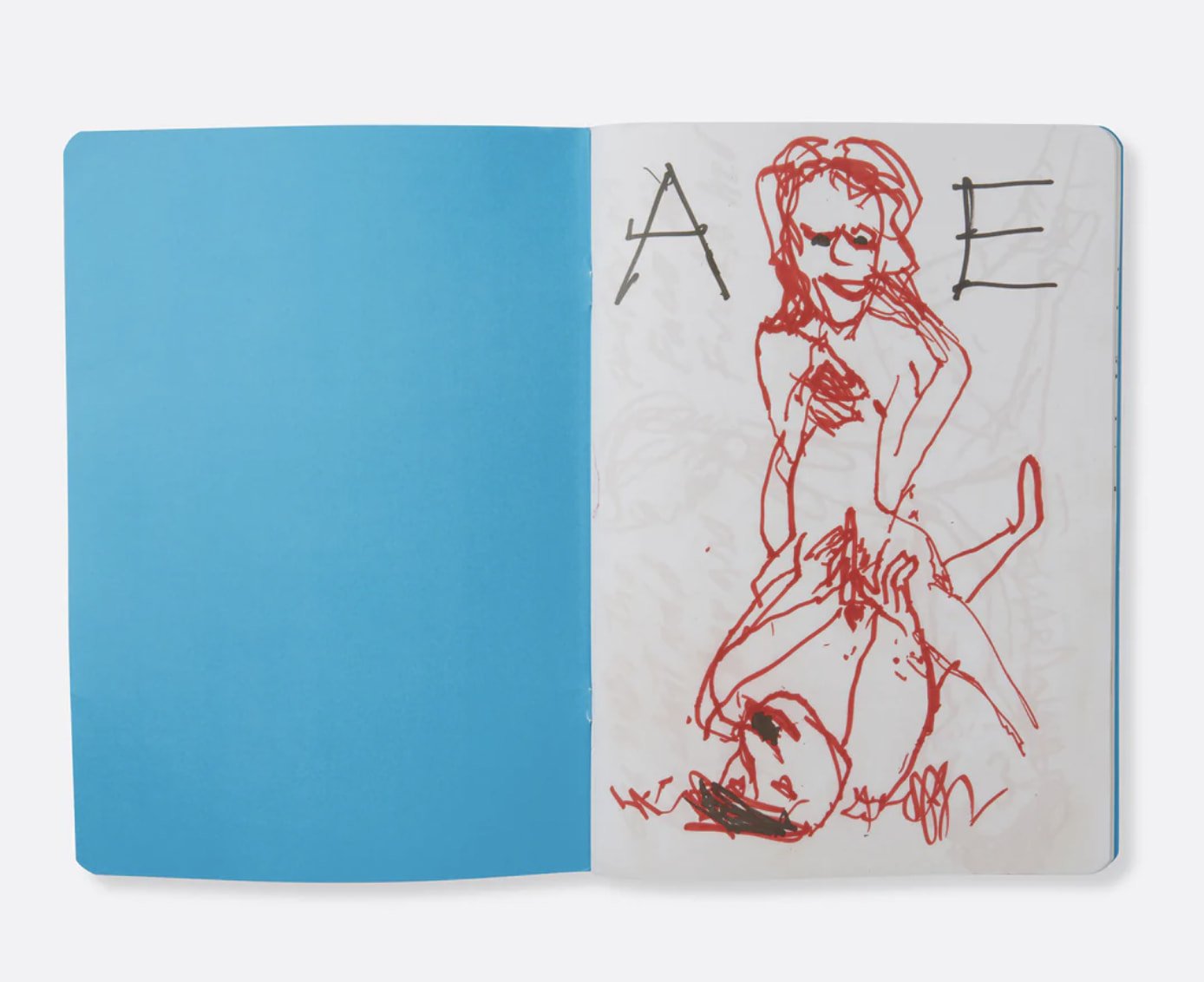 Paul Mccarthy - A&E Blue Book Edition - 2022