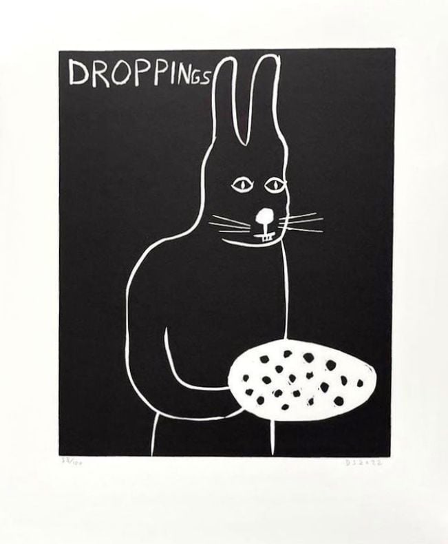 David shrigley droppings new art editions