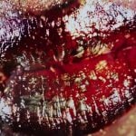 Marilyn Minter - Big Red - 2022