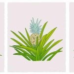 Jonas Wood - Pineapple - Series of Three New Prints - 2022